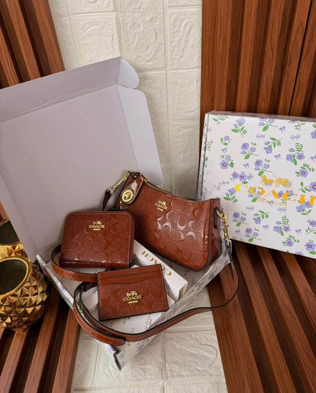 Set Coach Crossbody + Billetera